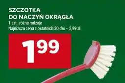 Stokrotka Szczotka do naczyń okrągła oferta