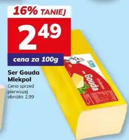 Hitpol Ser Gouda oferta