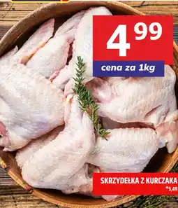 Hitpol Skrzydełka z kurczaka oferta