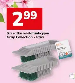 Hitpol Szczotka wielofunkcyjna Gray Collection - Ravi oferta
