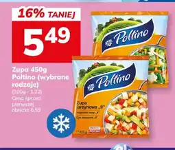 Hitpol Zupa 450g (wybrane rodzaje) oferta