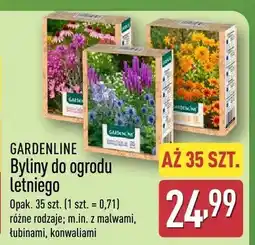 ALDI Byliny do ogrodu letniego, różne rodzaje oferta