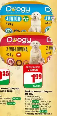 Dino Mokra karma dla psa Junior oferta