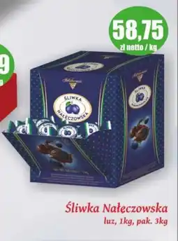 Specjał Śliwka Nałęczowska oferta
