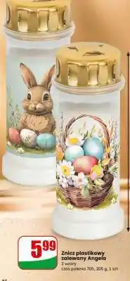Dino Znicz plastikowy zalewany Angela oferta