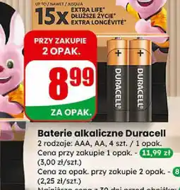Dino Duracell Baterie alkaliczne oferta