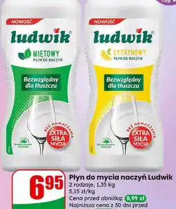 Dino Ludwik płyn do mycia naczyń oferta