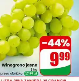 Dino Winogrono jasne oferta