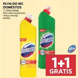 Stokrotka Płyn do WC Domestos oferta