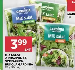 Stokrotka MIX SAŁAT Z ROSZPONKĄ, SZPINAKIEM, RUKOLĄ GARDINIA oferta