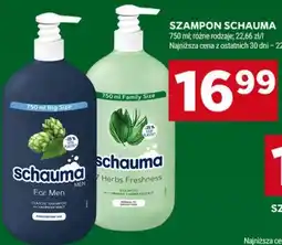 Stokrotka Szampon Schauma oferta