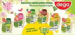 Stokrotka Sałatka Dega (różne rodzaje) oferta