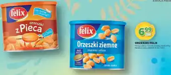 Stokrotka ORZESZKI FELIX oferta