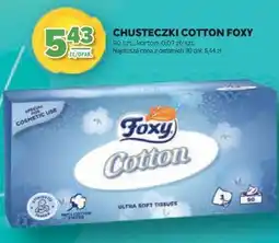 Stokrotka Chusteczki Cotton Foxy oferta