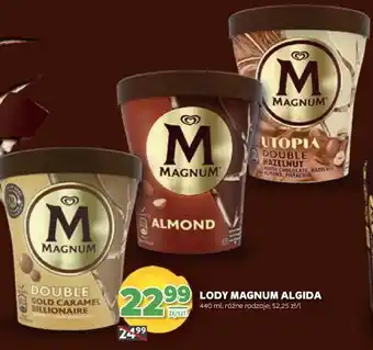 Stokrotka Lody Magnum Algida oferta