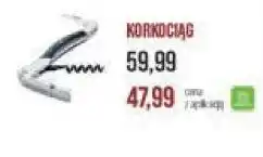 Stokrotka KORKOCIĄG oferta