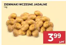 Stokrotka Market Ziemniaki wczesne jadalne oferta