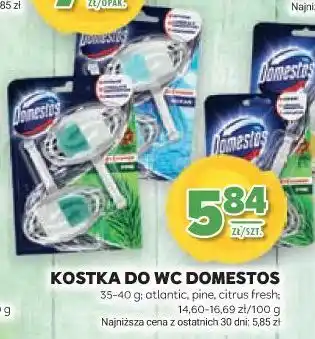 Stokrotka Kostka do WC Domestos oferta