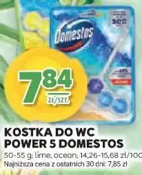 Stokrotka Kostka do WC Power 5 Domestos oferta