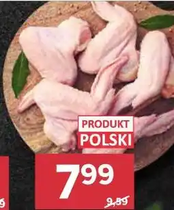 Stokrotka Market SKRZYDEŁKA Z KURCZAKA oferta