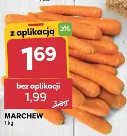 Stokrotka Market Marchew oferta