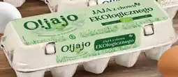 Stokrotka Market Jaja z chowu ekologicznego O!jajo 10 sztuk oferta