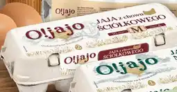 Stokrotka Market Jaja z chowu ściółkowego O!jajo 10 sztuk oferta