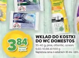 Stokrotka Wkład do kostki do WC Domestos oferta