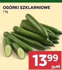Stokrotka Market Ogórki szklarniowe oferta