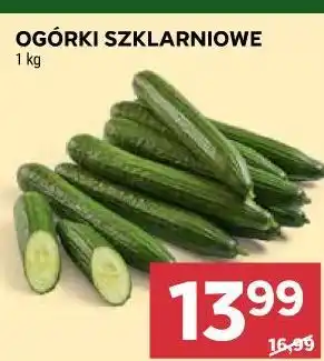 Ogórki szklarniowe