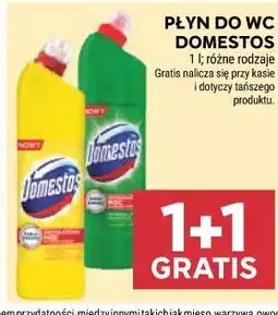 Stokrotka Market Płyn do WC Domestos oferta