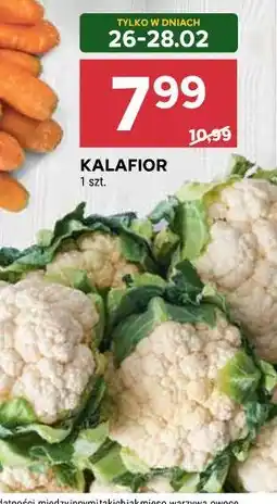 Stokrotka Market Kalafior oferta