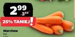 Netto Marchew luz oferta