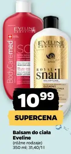 Netto Balsam do ciała Eveline (różne rodzaje) oferta