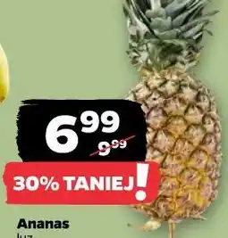 Netto Ananas luz oferta