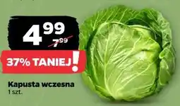 Netto Kapusta wczesna 1 szt oferta