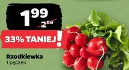 Netto Rzodkiewka 1 pęczek oferta