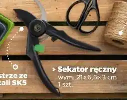 Netto Sekator ręczny oferta