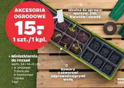 Netto Miniszklarnia do rozsad oferta