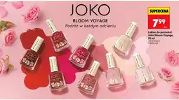 Biedronka Lakier do paznokci Bloom Voyage różne kolory oferta