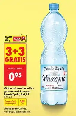 Biedronka Woda mineralna lekko gazowana Muszyna Skarb Życia oferta