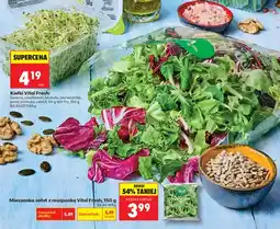 Biedronka Kiełki lucerny, rzodkiewki, brokułu, słonecznika, pora, jarmużu, cebuli, 50 g stir-fry oferta