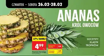 Biedronka Ananas oferta