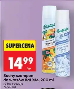 Biedronka Suchy szampon do włosów różne rodzaje oferta
