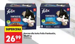 Biedronka Karma dla kota Fantastic oferta