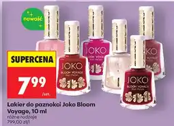 Biedronka Lakier do paznokci Bloom Voyage różne rodzaje oferta
