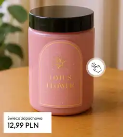 Sinsay Świeca zapachowa oferta