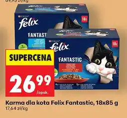 Biedronka Karma dla kota Fantastic oferta