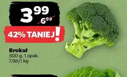 Netto Brokuł oferta