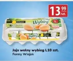 API MARKET Fermy Wiejak Jaja wolny wybieg oferta